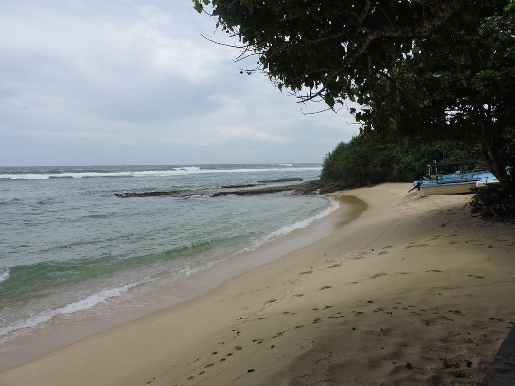 Paradise Beach Resort & Diving School Mirissa Buitenkant foto