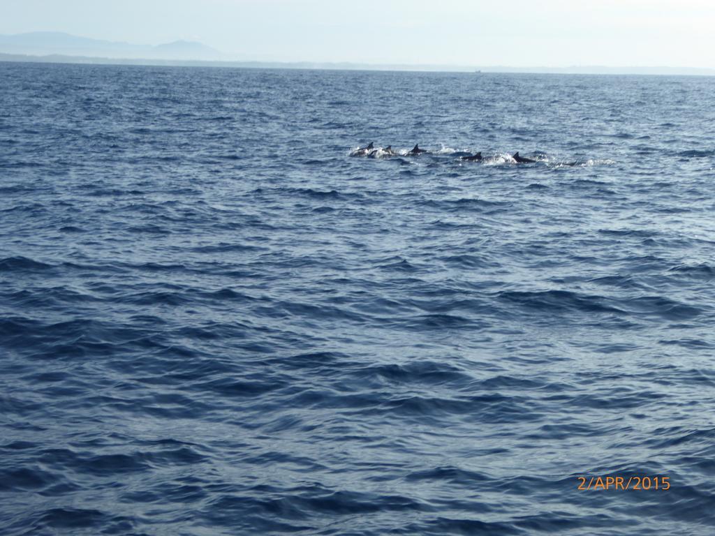 Paradise Beach Resort & Diving School Mirissa Buitenkant foto